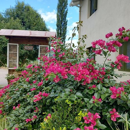 Hospedaria Bom Pastor Nova Petrópolis Kültér fotó
